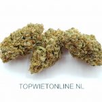 Blueberry OG