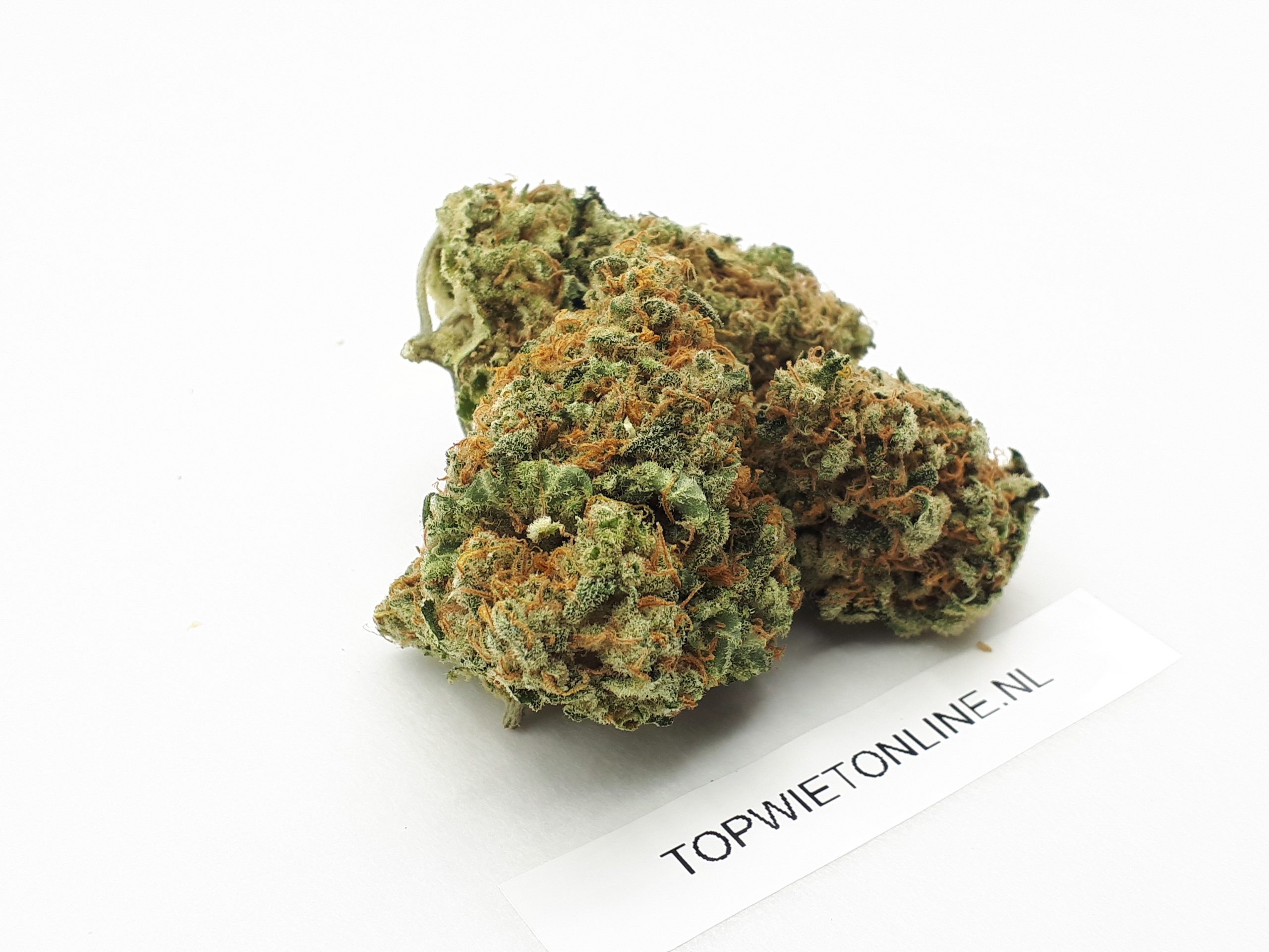 Critical Kush - Afbeelding 2