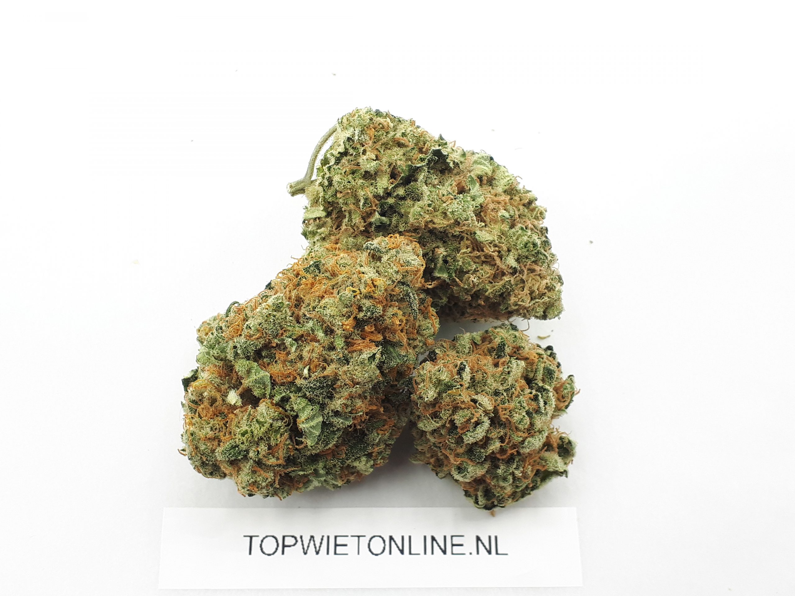 Critical Kush - Afbeelding 3