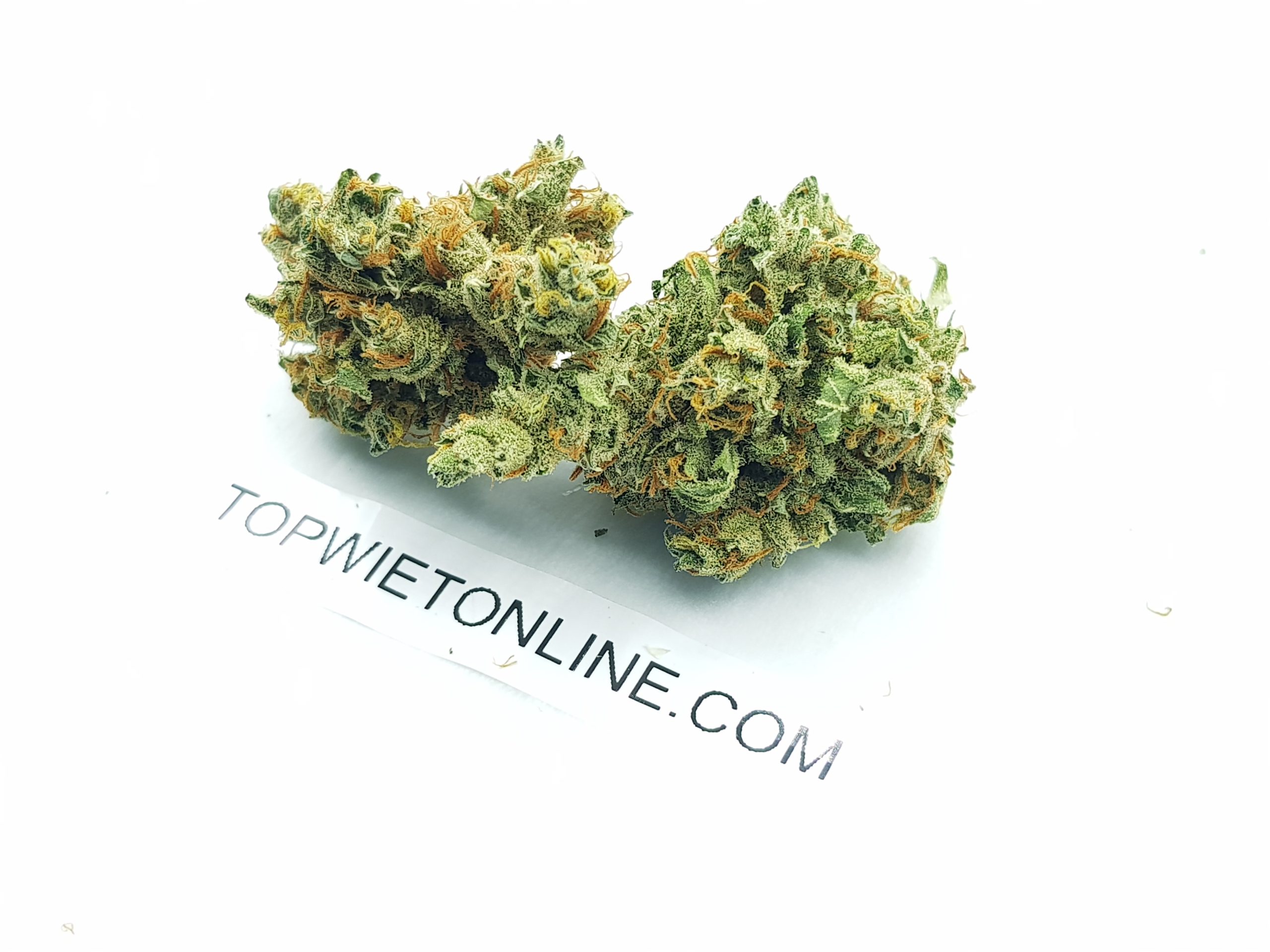 Super Silver Haze - Afbeelding 3