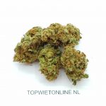 Amnesia Mac Ganja
