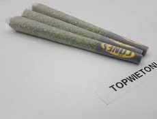 Tangerine G13 PURE HAZE JOINT 3 STUKS