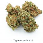 Lemon Kush