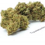 Haze Berry