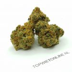 NYC Diesel