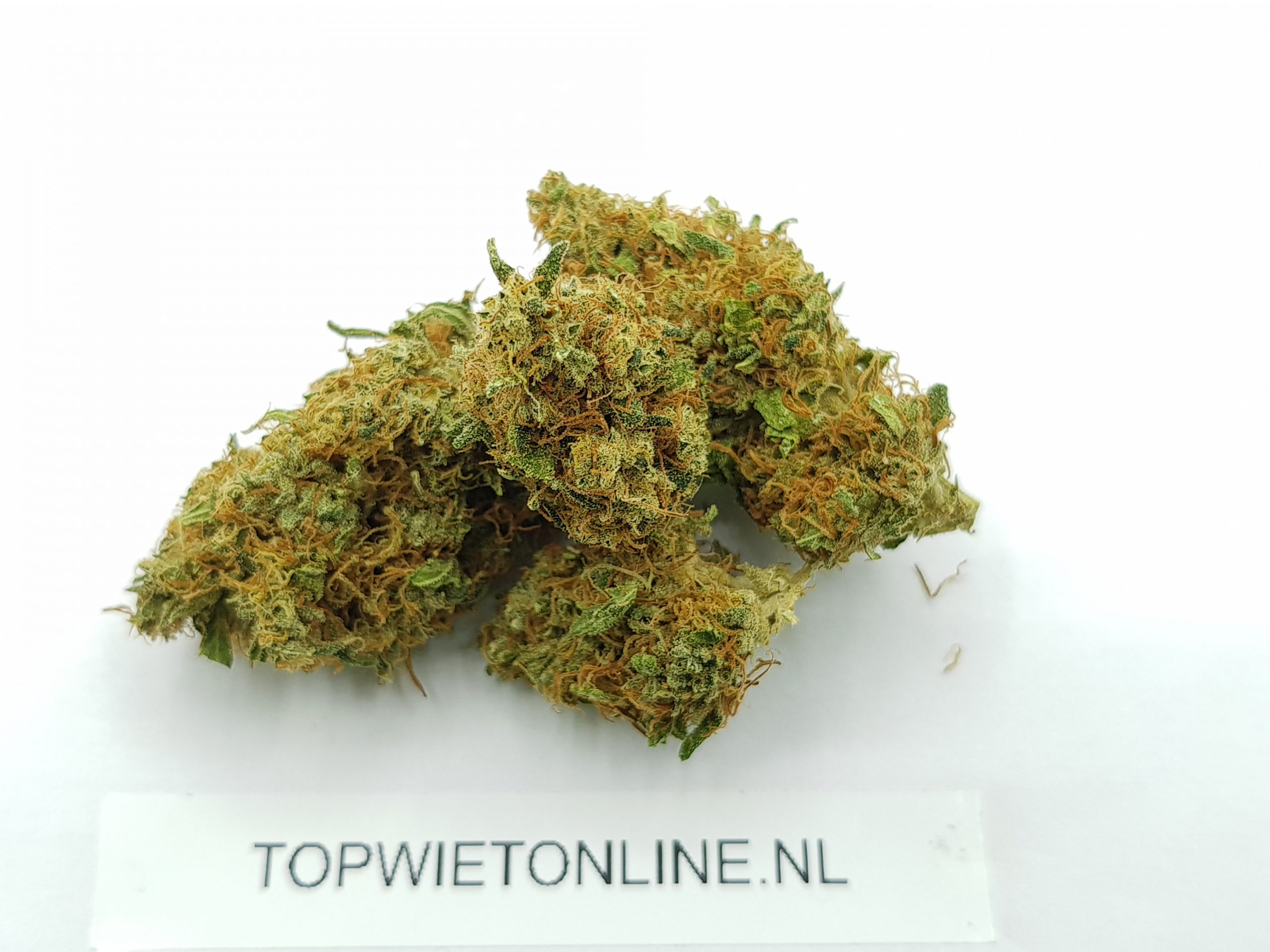 Orange Bud - Afbeelding 4