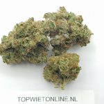 Purple Punch x Watermelon Zkittlez