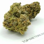 Sunset Sherbet
