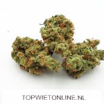 Mexican Haze 27% THC
