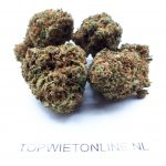 Strawberry Lemonade 19% THC