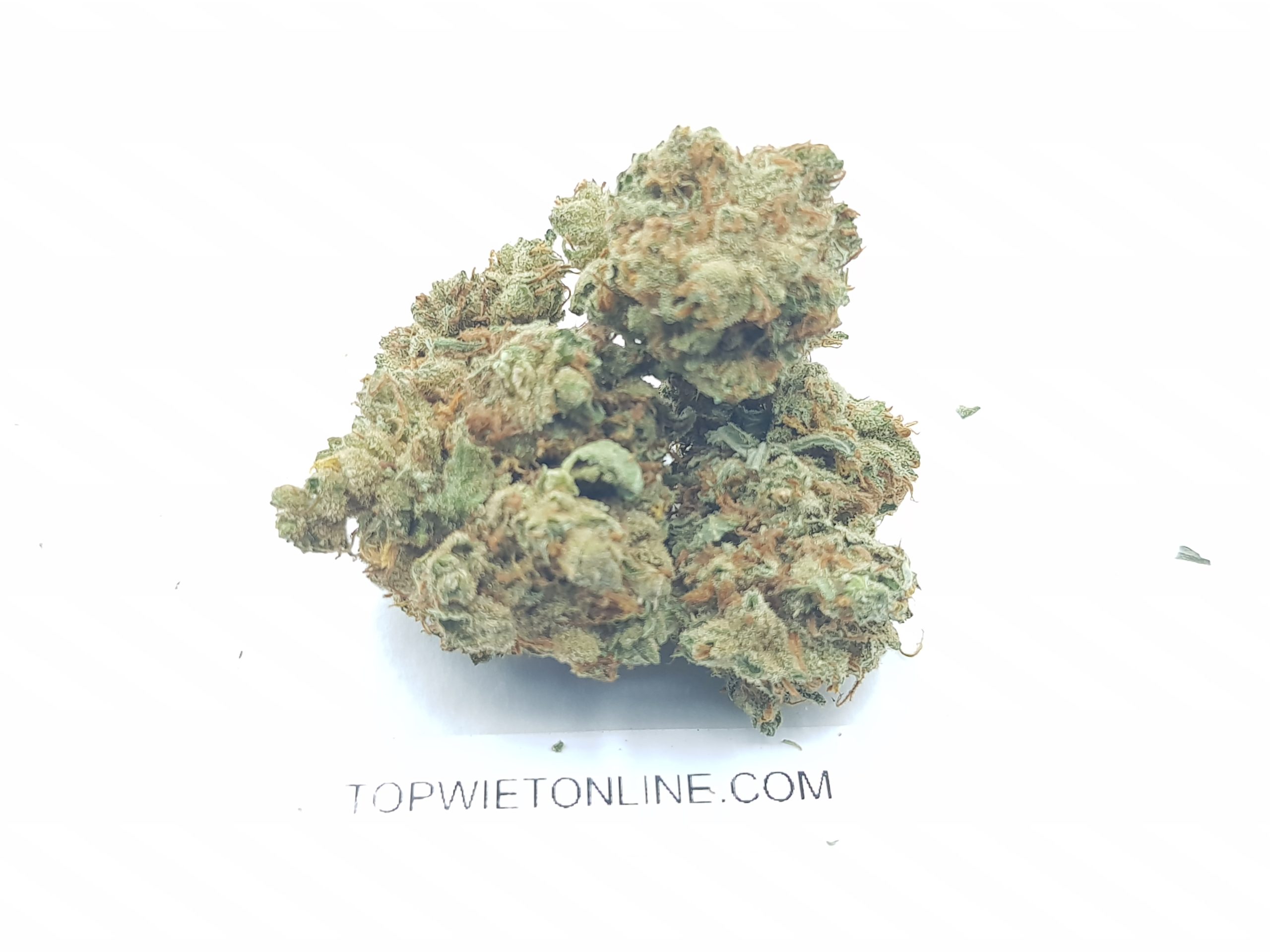 Mexican Haze