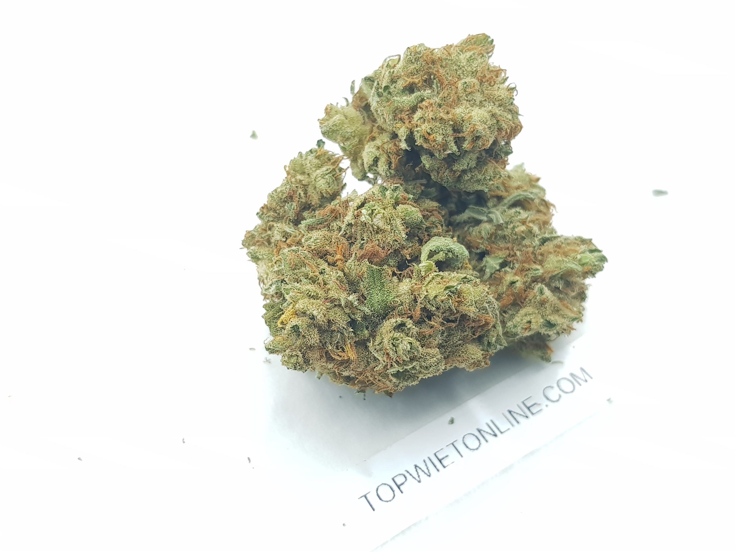 Mexican Haze - Afbeelding 3