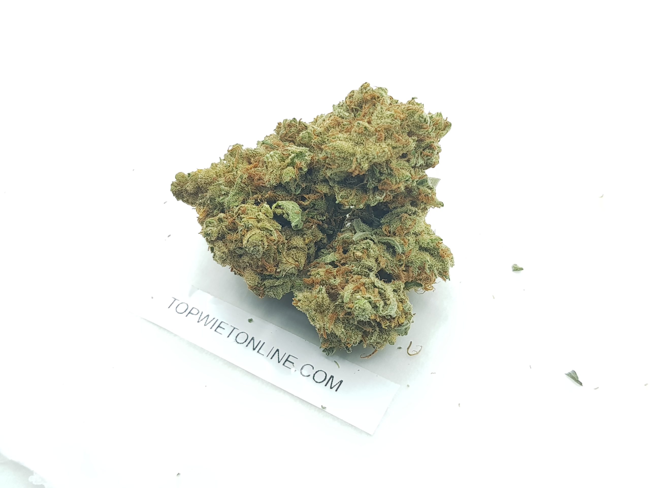 Mexican Haze - Afbeelding 4