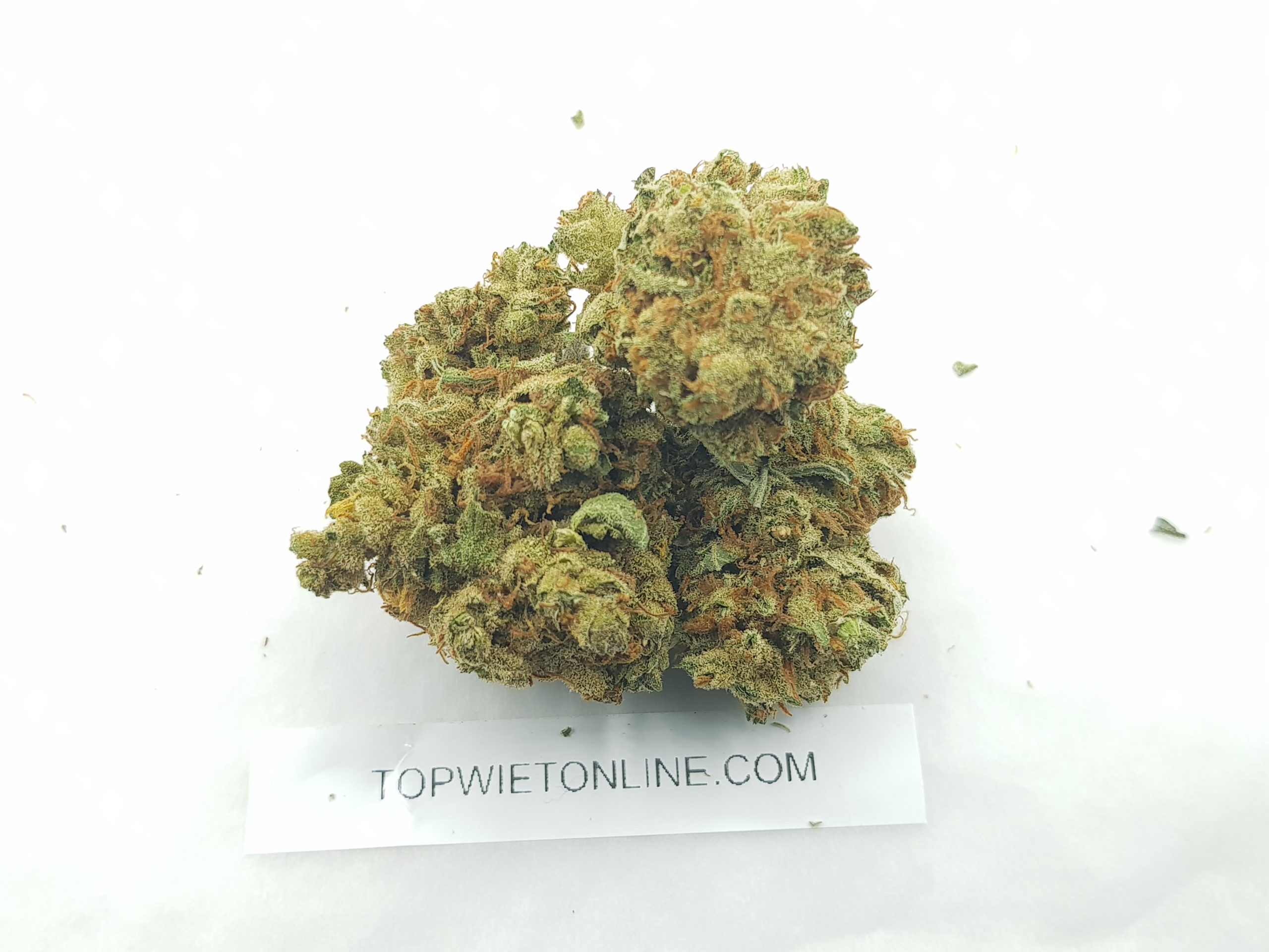 Mexican Haze - Afbeelding 2