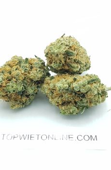 White Widow