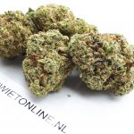 Gorilla Zkittlez - Afbeelding 2