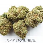 Gorilla Zkittlez - Afbeelding 4