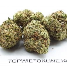 Gorilla Zkittlez