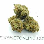 Brain Killer Haze