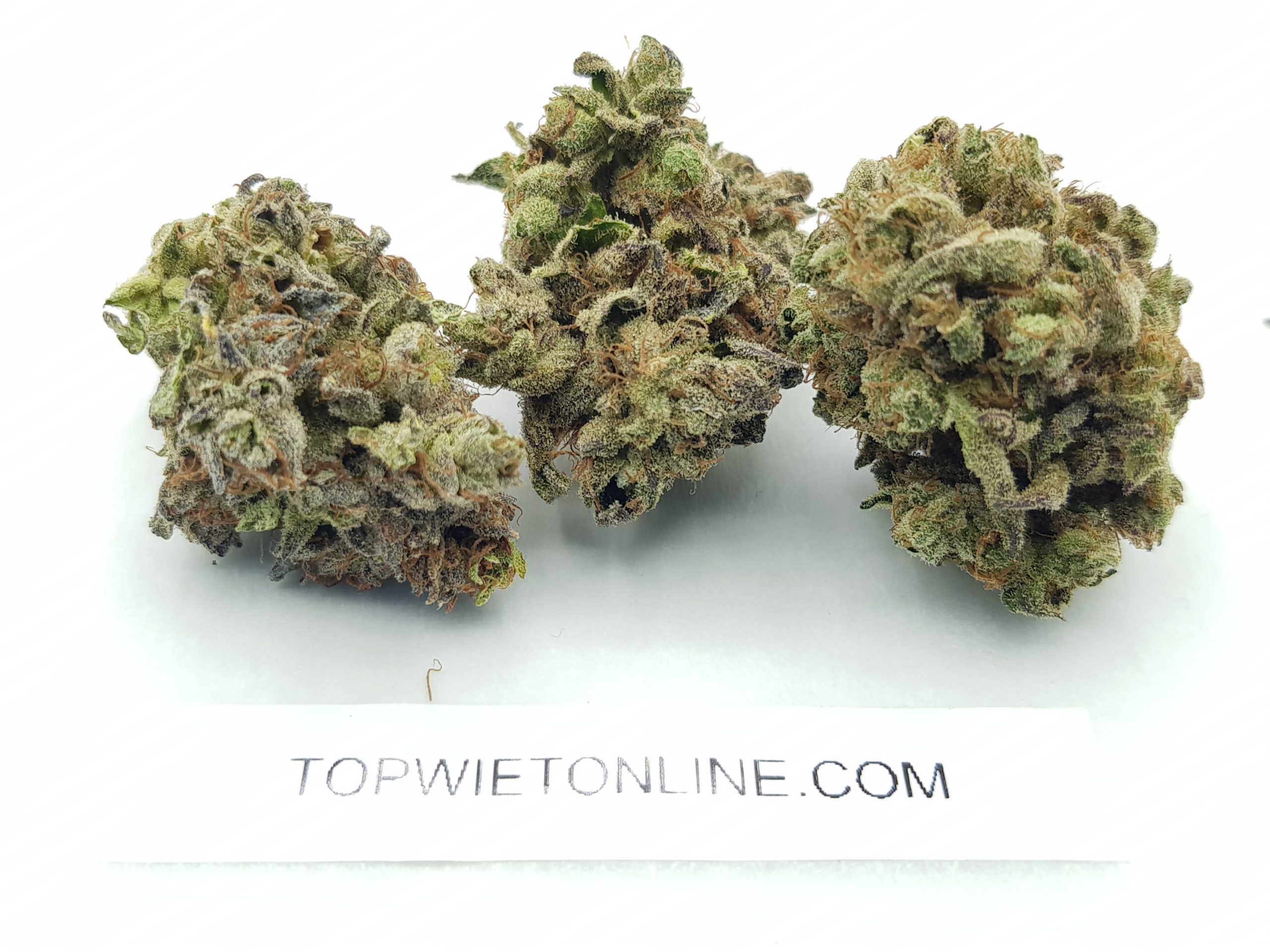 HOLY GRAIL KUSH - Afbeelding 2