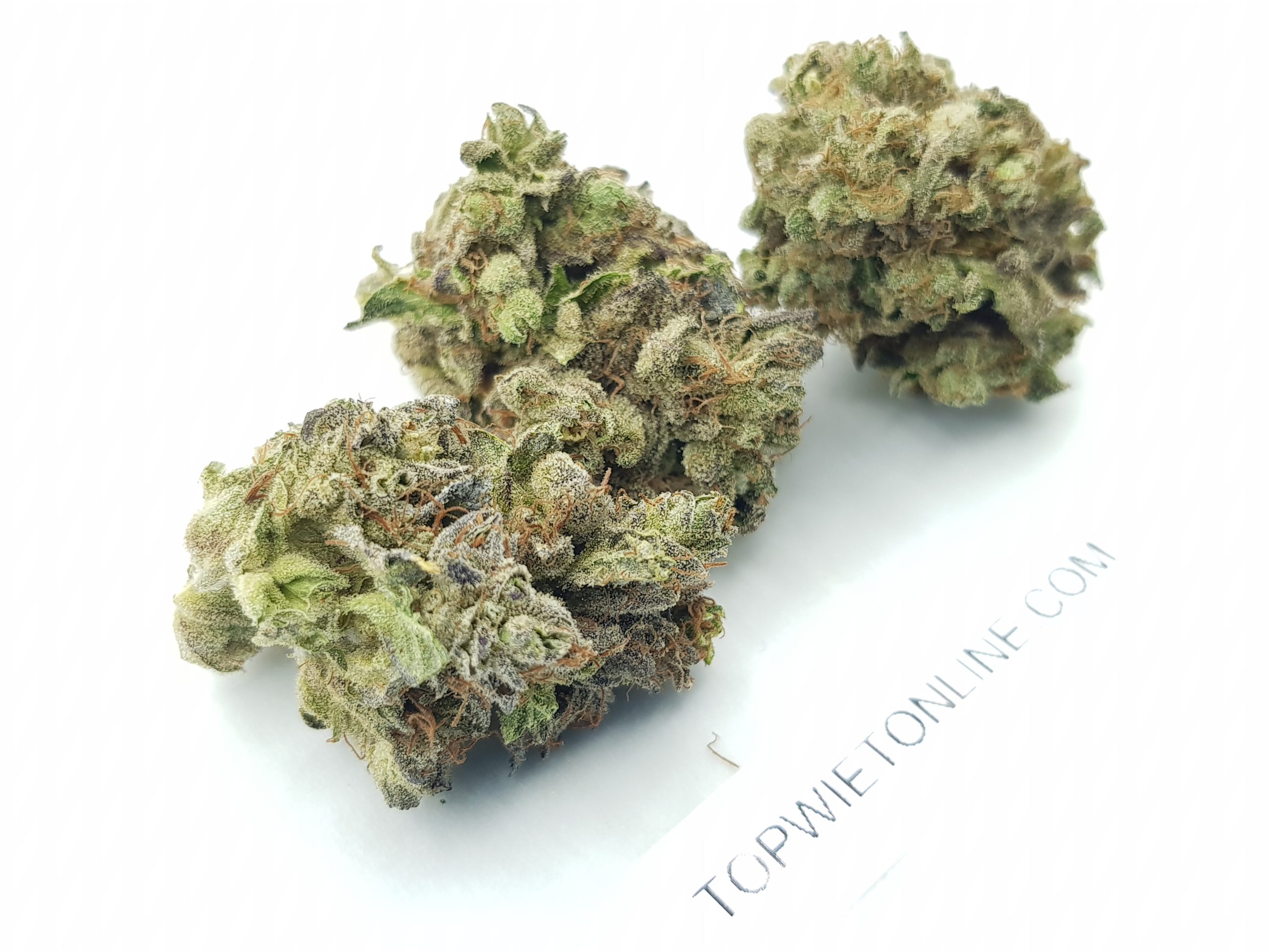 HOLY GRAIL KUSH - Afbeelding 3